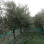 Bed & Breakfast Agrialpi By Salfrutta Bricherasio