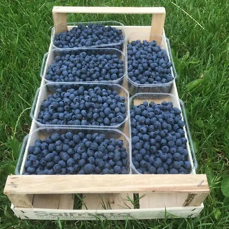 Agrialpi By Salfrutta Nocleg ze śniadaniem 3*