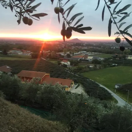 Agrialpi By Salfrutta * Bricherasio