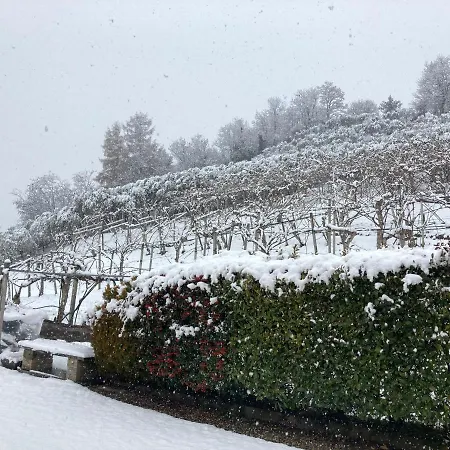 Agrialpi By Salfrutta 3*