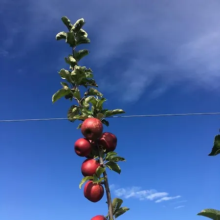 Nocleg ze śniadaniem Agrialpi By Salfrutta