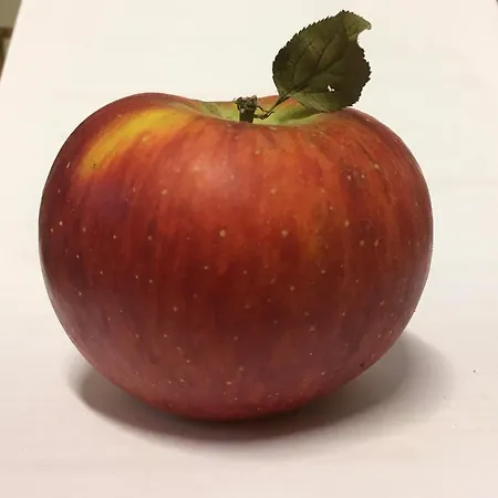 Agrialpi By Salfrutta Bricherasio