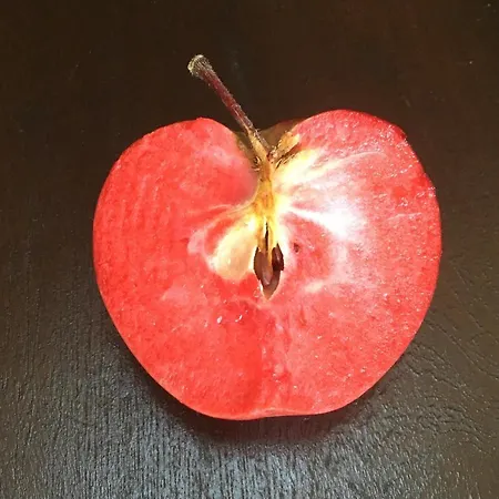 Agrialpi By Salfrutta 3* Bricherasio