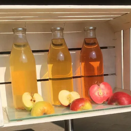 Agrialpi By Salfrutta 3* Bricherasio