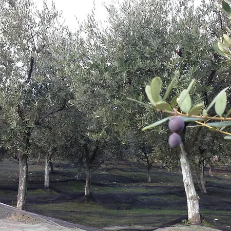 Bed & Breakfast Agrialpi By Salfrutta