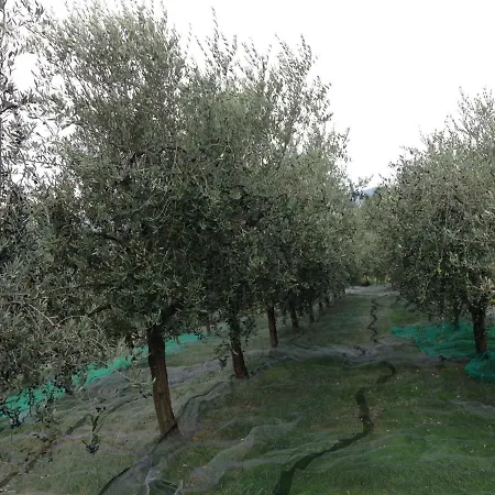 Bed and Breakfast Agrialpi By Salfrutta Bricherasio