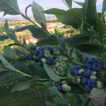 Agrialpi By Salfrutta 3* Bricherasio