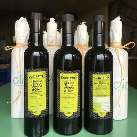 Bed & Breakfast Agrialpi By Salfrutta Bricherasio