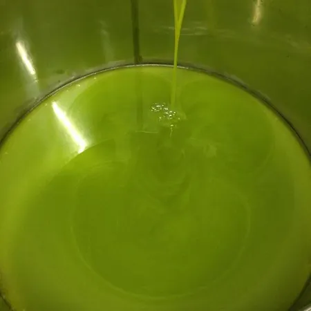 Bed & Breakfast Agrialpi By Salfrutta Bricherasio