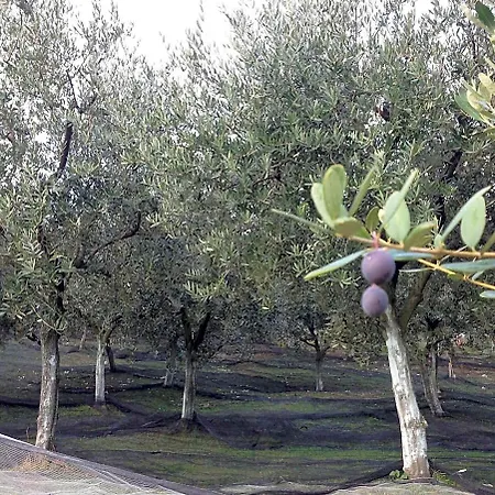 Agrialpi By Salfrutta Bed and breakfast