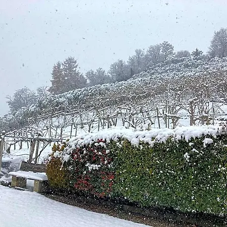 Agrialpi By Salfrutta 3*
