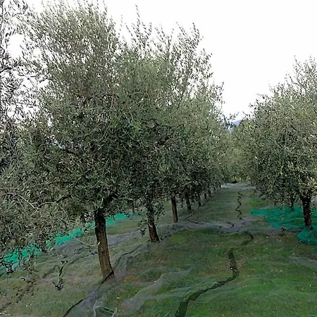 Agrialpi By Salfrutta Bricherasio