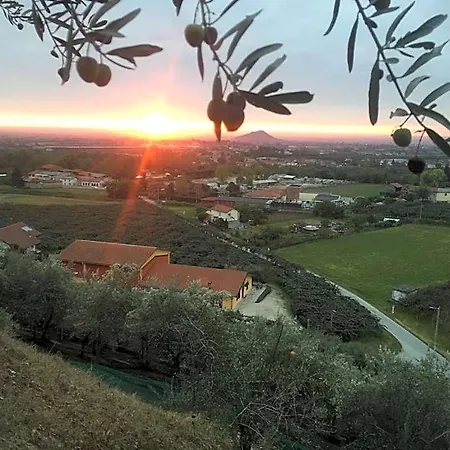 Agrialpi By Salfrutta 3*