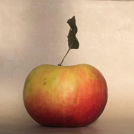 Agrialpi By Salfrutta 3* Bricherasio