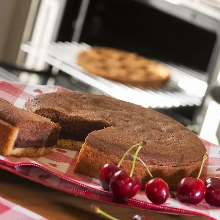 Agrialpi By Salfrutta