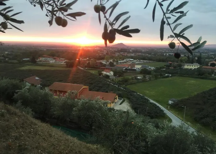 Agrialpi By Salfrutta 3* Bricherasio