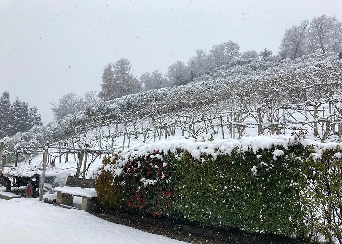 Agrialpi By Salfrutta 3*