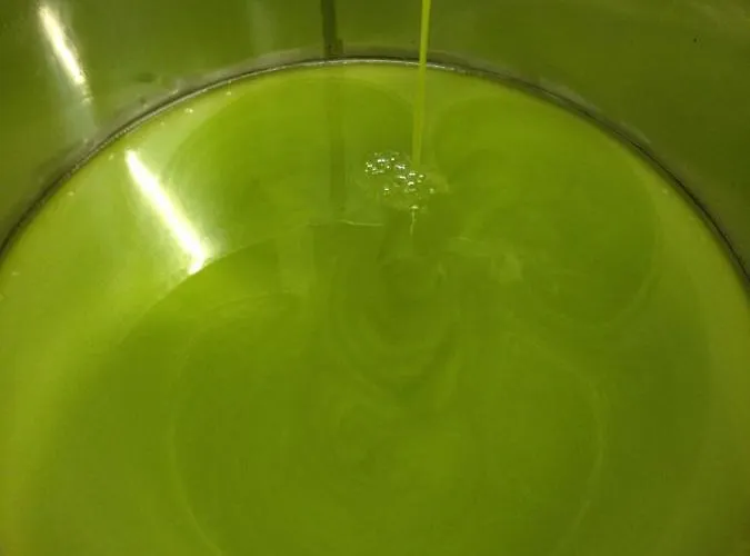 Bed & Breakfast Agrialpi By Salfrutta Bricherasio